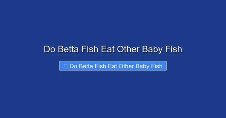 Do Betta Fish Eat Other Baby Fish