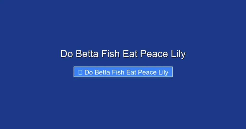 Do Betta Fish Eat Peace Lily