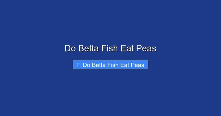 Do Betta Fish Eat Peas
