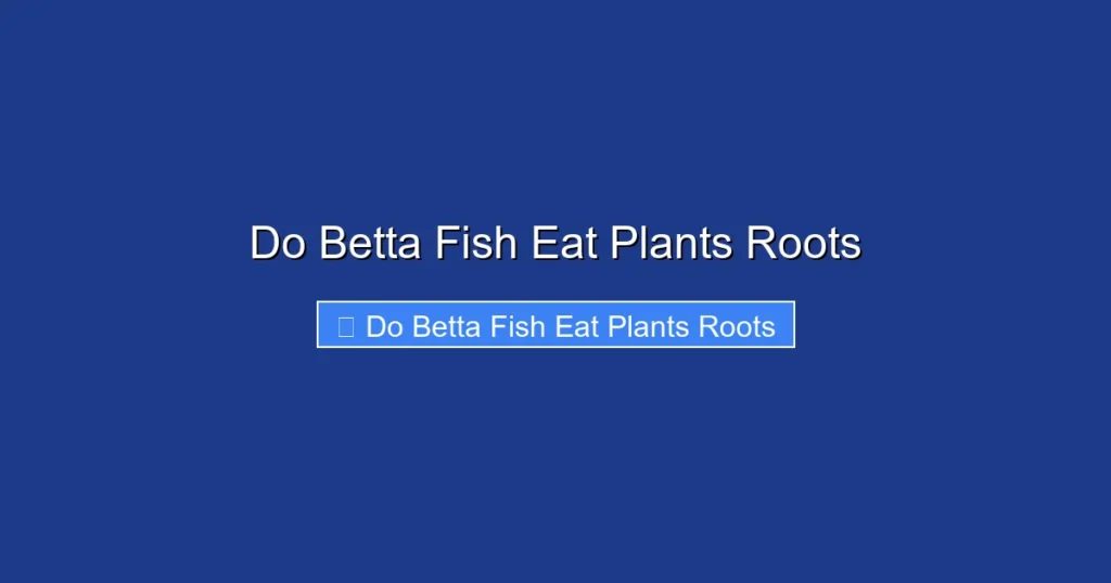 Do Betta Fish Eat Plants Roots