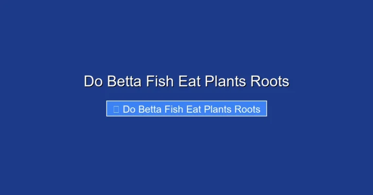 Do Betta Fish Eat Plants Roots