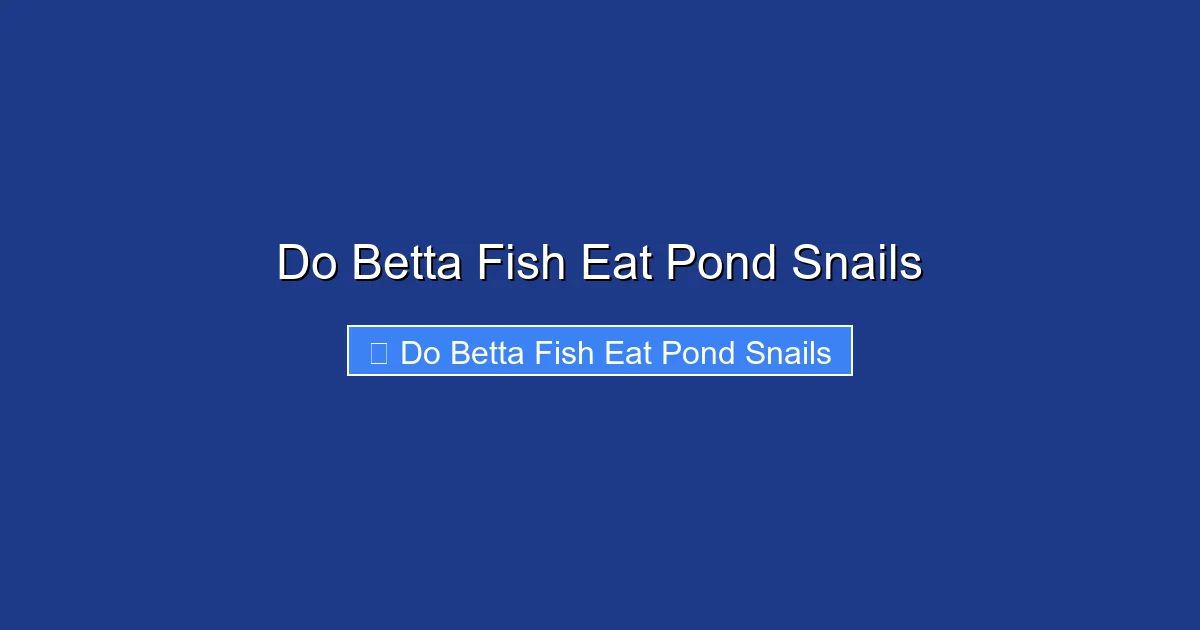 Do Betta Fish Eat Pond Snails