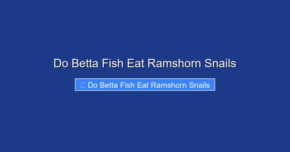 Do Betta Fish Eat Ramshorn Snails