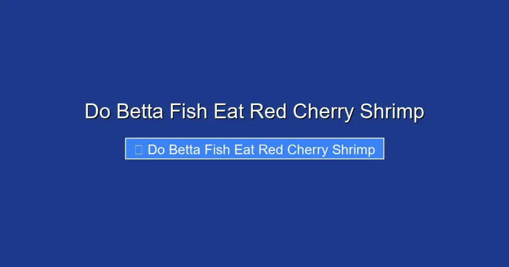 Do Betta Fish Eat Red Cherry Shrimp