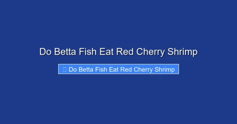 Do Betta Fish Eat Red Cherry Shrimp