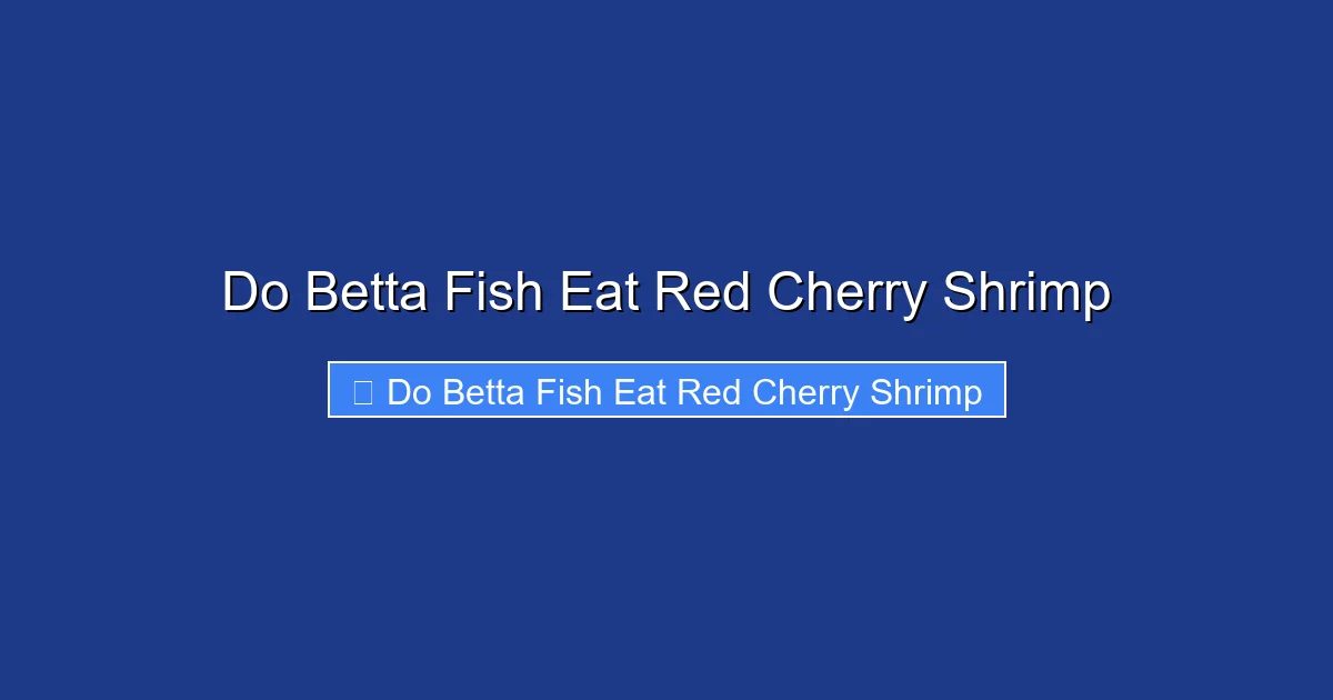 Do Betta Fish Eat Red Cherry Shrimp