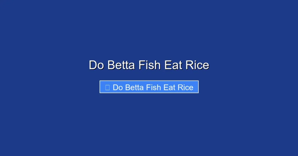 Do Betta Fish Eat Rice