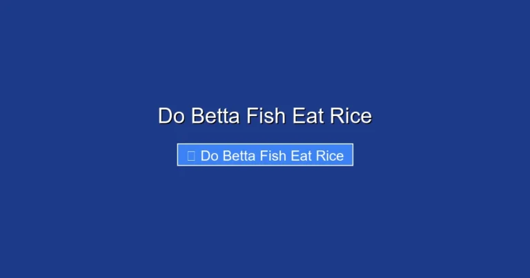 Do Betta Fish Eat Rice