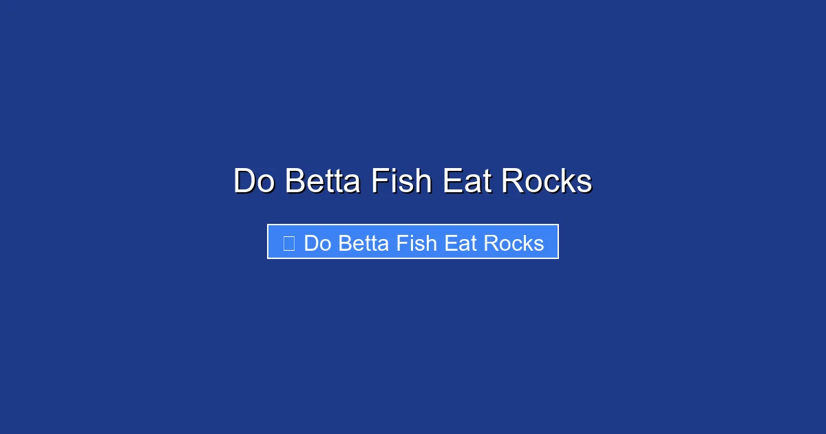 Do Betta Fish Eat Rocks