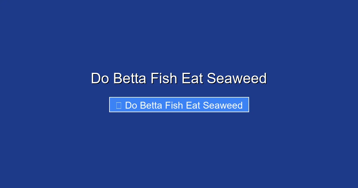 Do Betta Fish Eat Seaweed