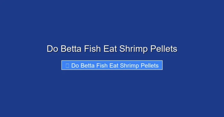 Do Betta Fish Eat Shrimp Pellets