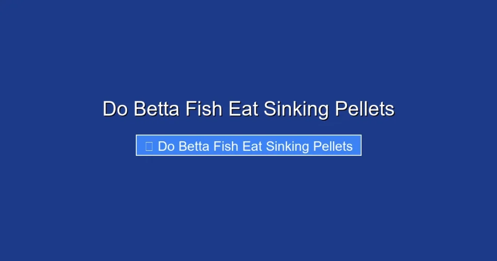 Do Betta Fish Eat Sinking Pellets