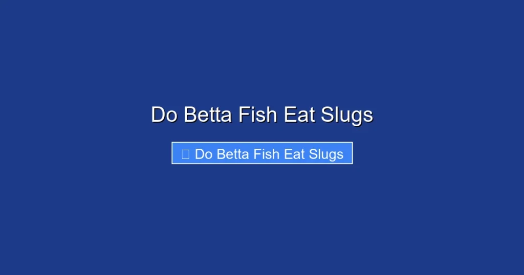 Do Betta Fish Eat Slugs
