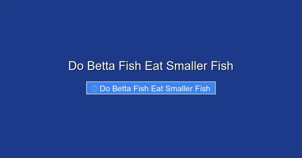 Do Betta Fish Eat Smaller Fish