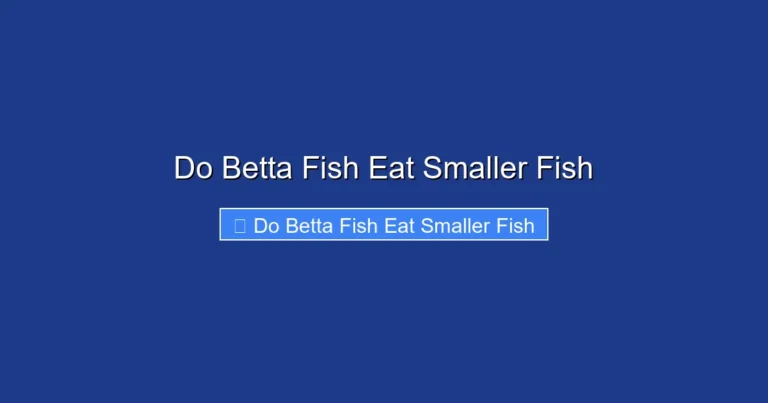 Do Betta Fish Eat Smaller Fish