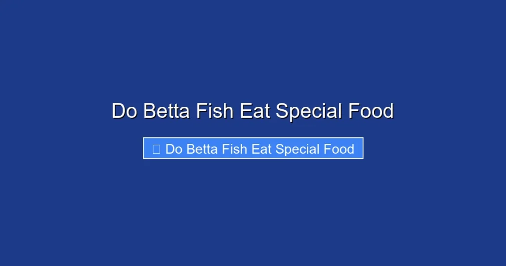Do Betta Fish Eat Special Food