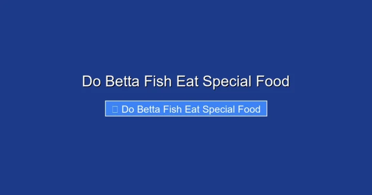 Do Betta Fish Eat Special Food