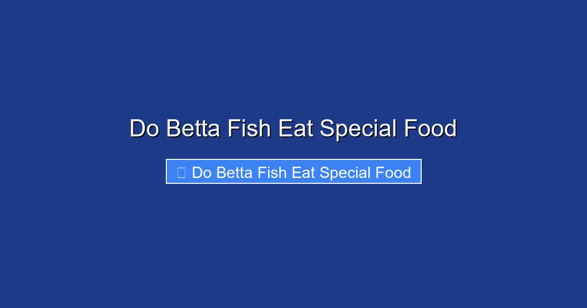 Do Betta Fish Eat Special Food