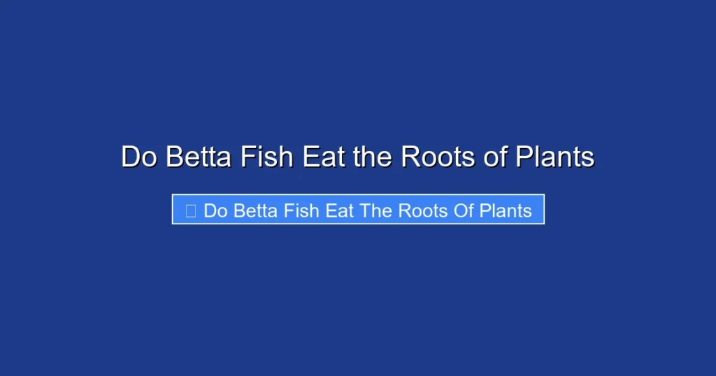 Do Betta Fish Eat the Roots of Plants