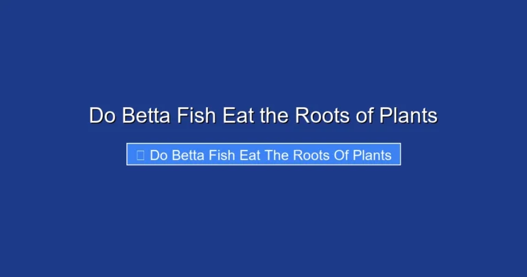 Do Betta Fish Eat the Roots of Plants