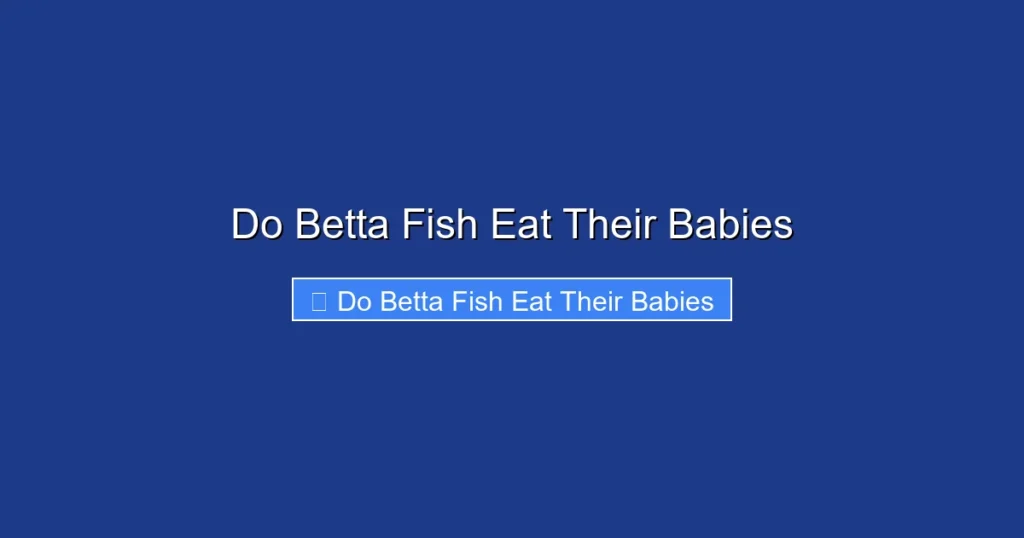 Do Betta Fish Eat Their Babies
