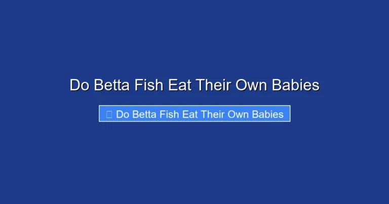 Do Betta Fish Eat Their Own Babies