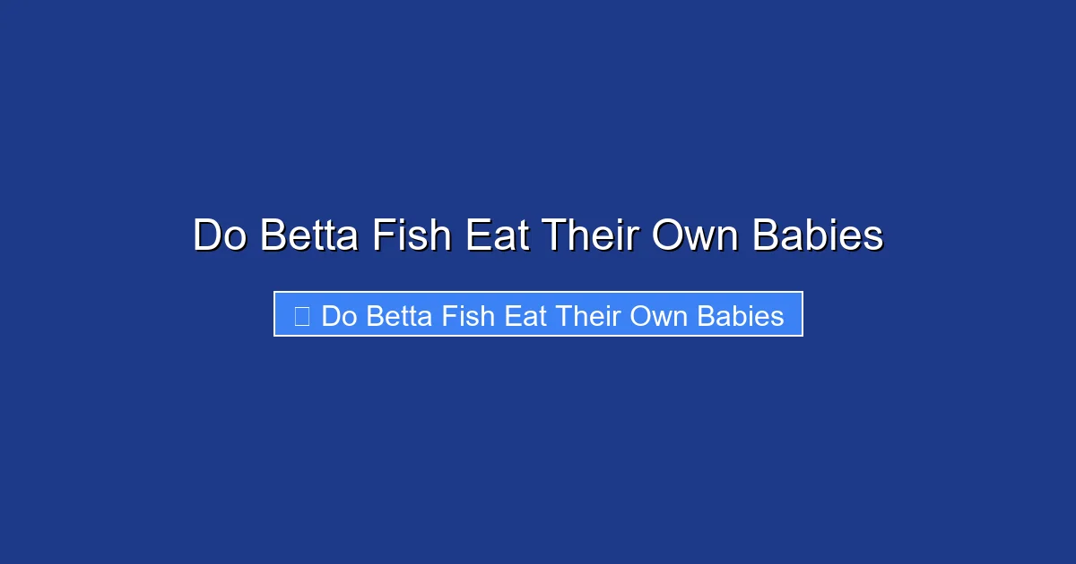 Do Betta Fish Eat Their Own Babies