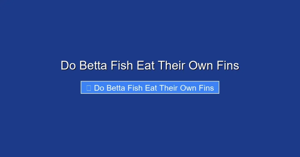 Do Betta Fish Eat Their Own Fins
