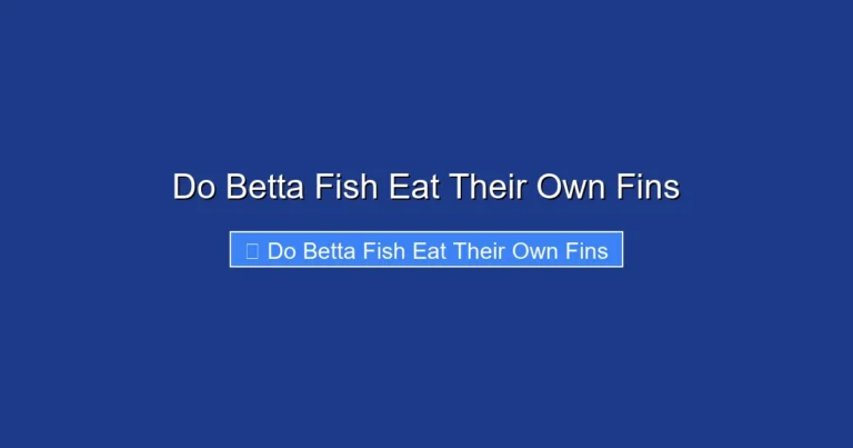 Do Betta Fish Eat Their Own Fins