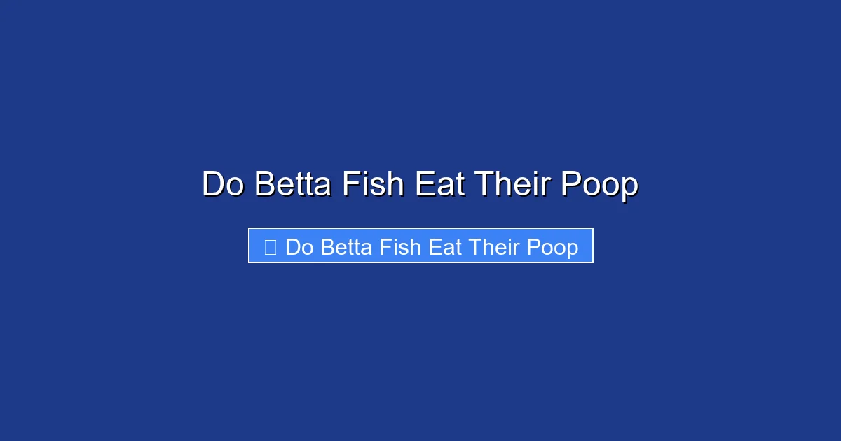 Do Betta Fish Eat Their Poop