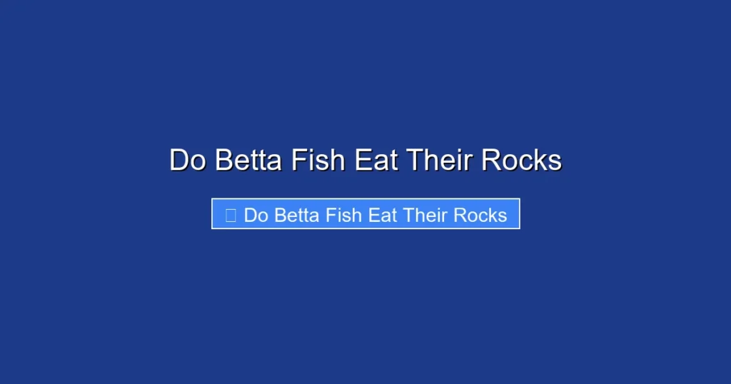 Do Betta Fish Eat Their Rocks