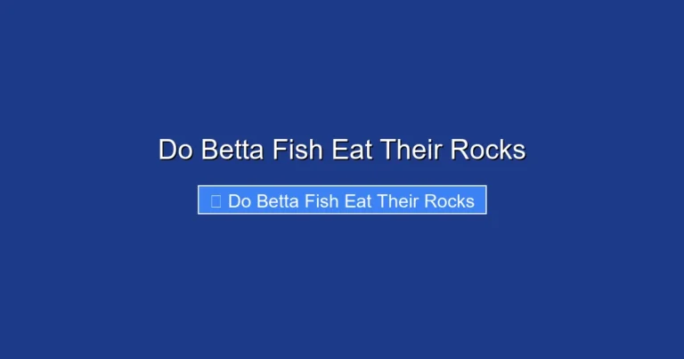 Do Betta Fish Eat Their Rocks