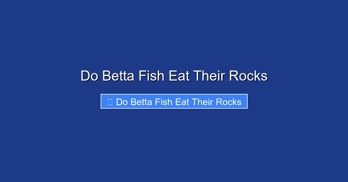 Do Betta Fish Eat Their Rocks