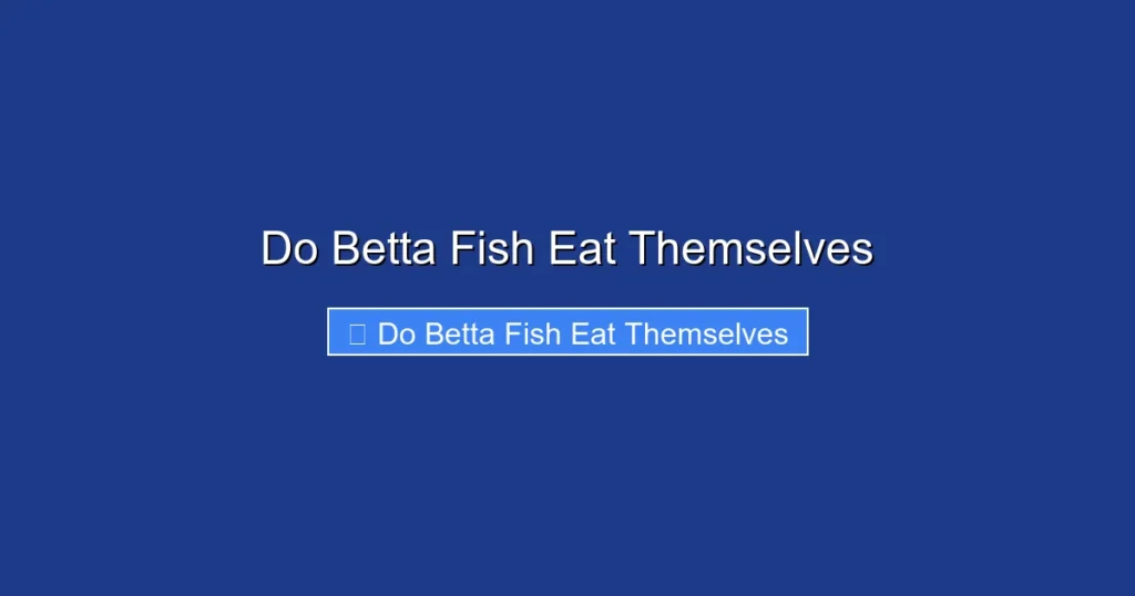 Do Betta Fish Eat Themselves
