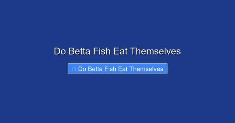 Do Betta Fish Eat Themselves