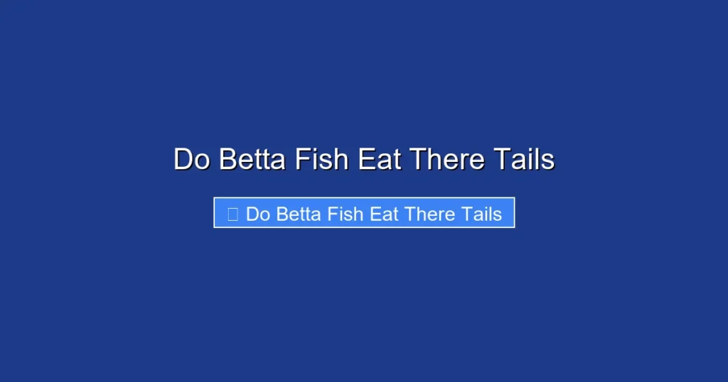 Do Betta Fish Eat There Tails