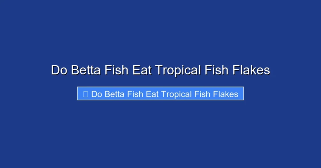 Do Betta Fish Eat Tropical Fish Flakes