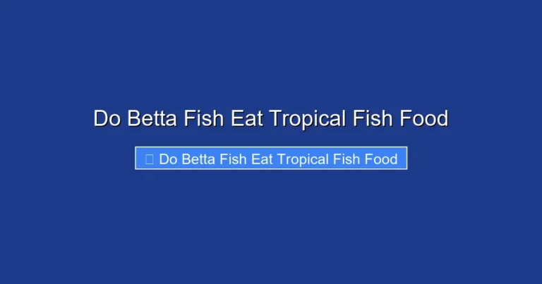 Do Betta Fish Eat Tropical Fish Food