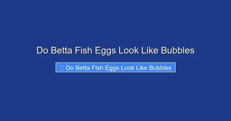 Do Betta Fish Eggs Look Like Bubbles