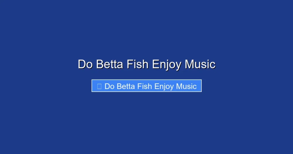 Do Betta Fish Enjoy Music