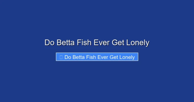 Do Betta Fish Ever Get Lonely