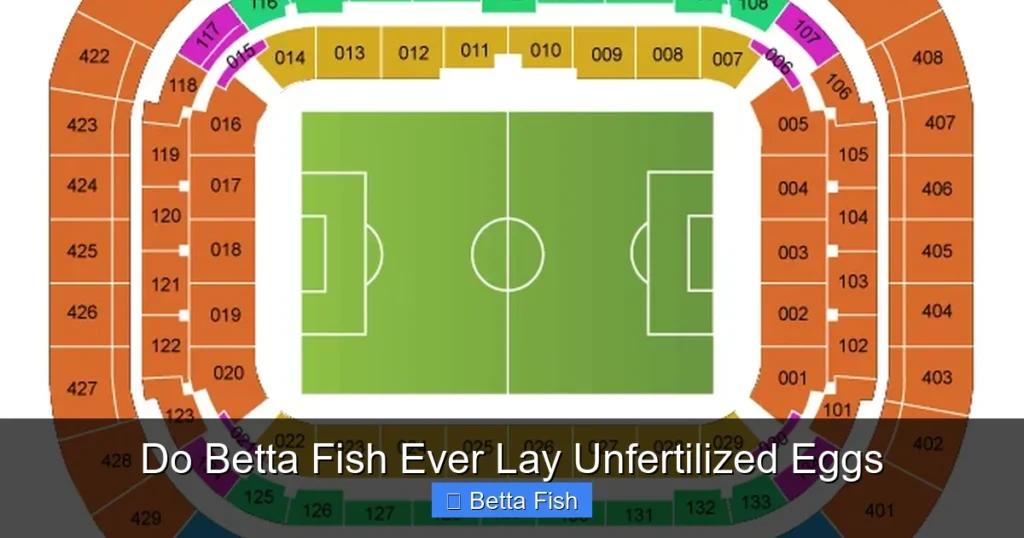 Do Betta Fish Ever Lay Unfertilized Eggs
