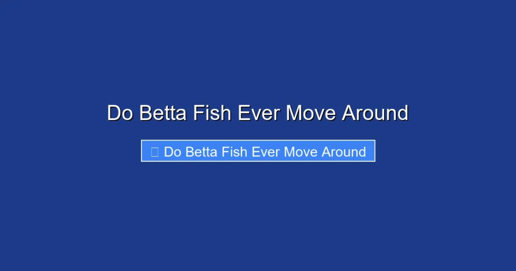 Do Betta Fish Ever Move Around