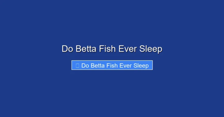 Do Betta Fish Ever Sleep