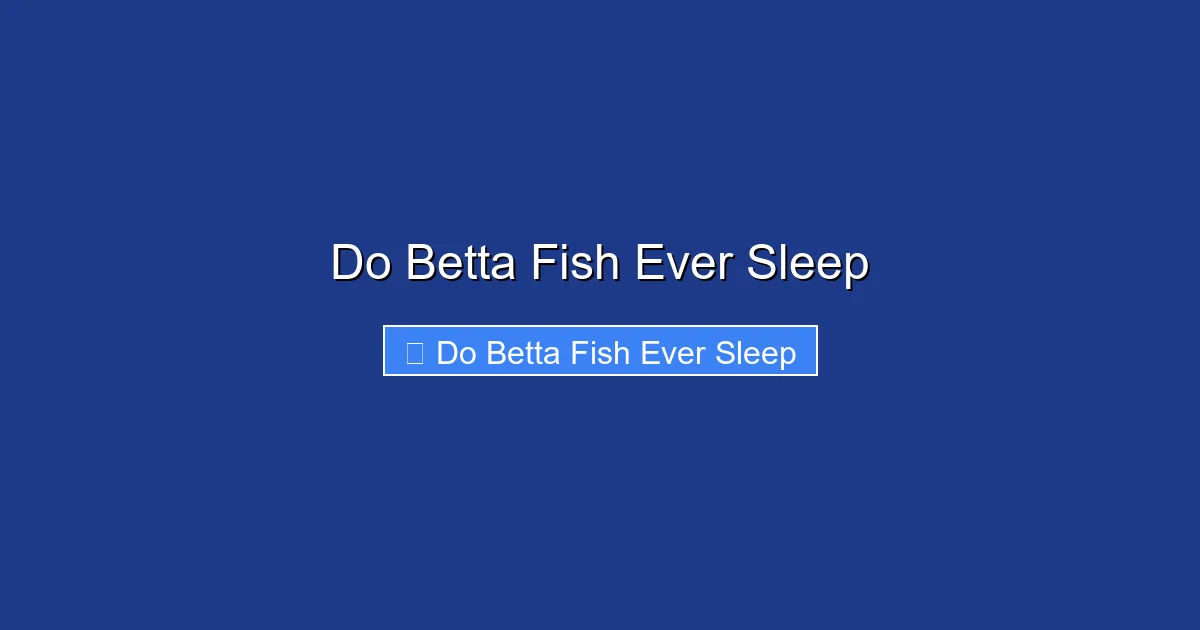 Do Betta Fish Ever Sleep