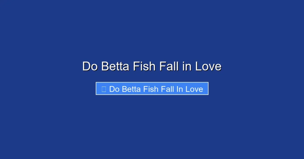Do Betta Fish Fall in Love