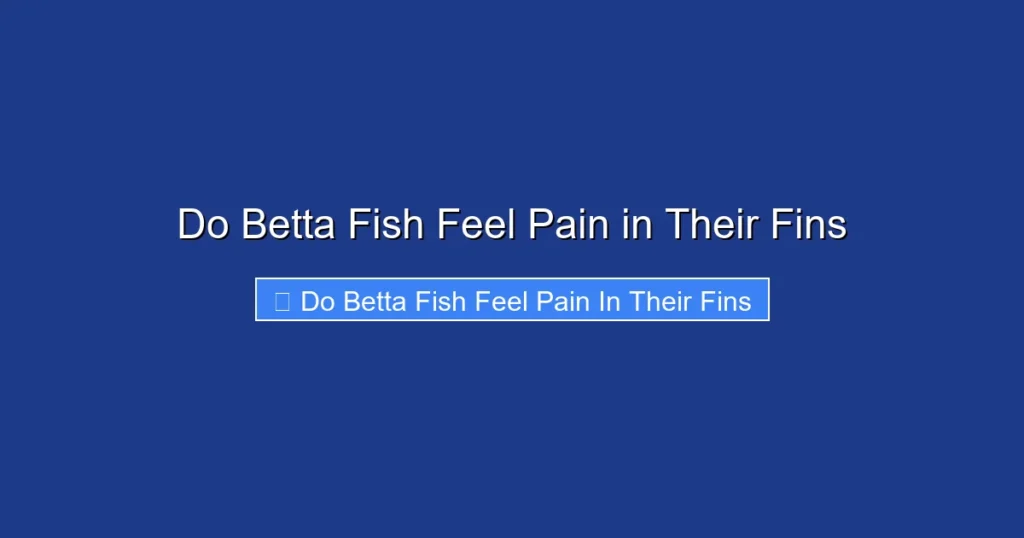 Do Betta Fish Feel Pain in Their Fins