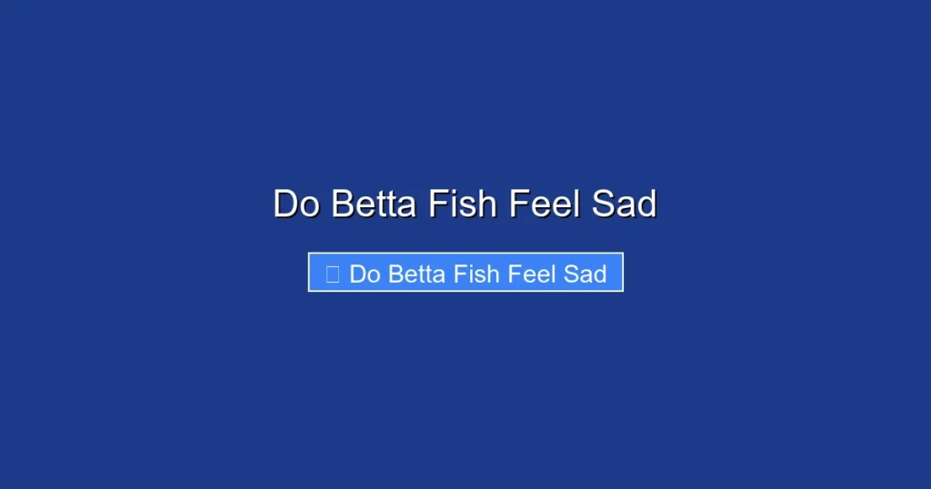 Do Betta Fish Feel Sad