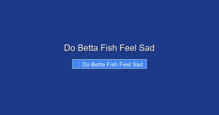 Do Betta Fish Feel Sad