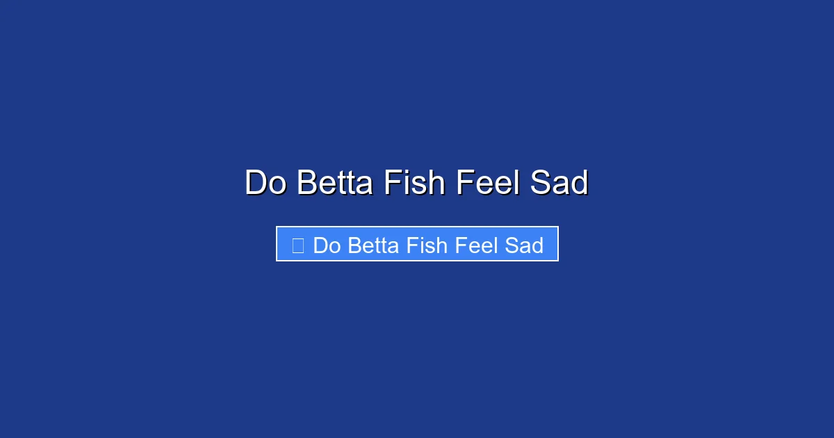 Do Betta Fish Feel Sad